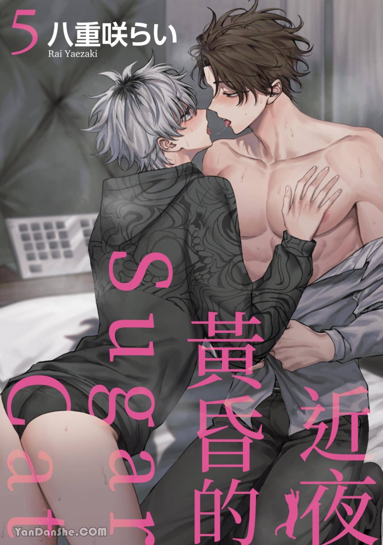 Bé Mèo Dịu Ngọt Trong Ánh Hoàng Hôn