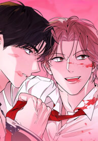 BÓNG ĐÊM DỊU ÊM