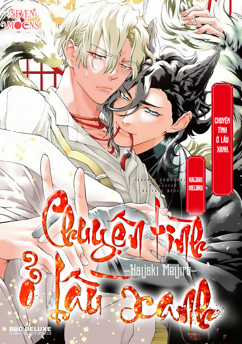 Chuyện tình ở lầu xanh