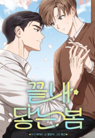 CUỐI CÙNG XUÂN ĐÃ ĐẾN