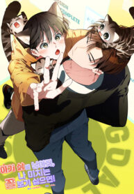 SINH MÈO CON CHO TÔI ĐI