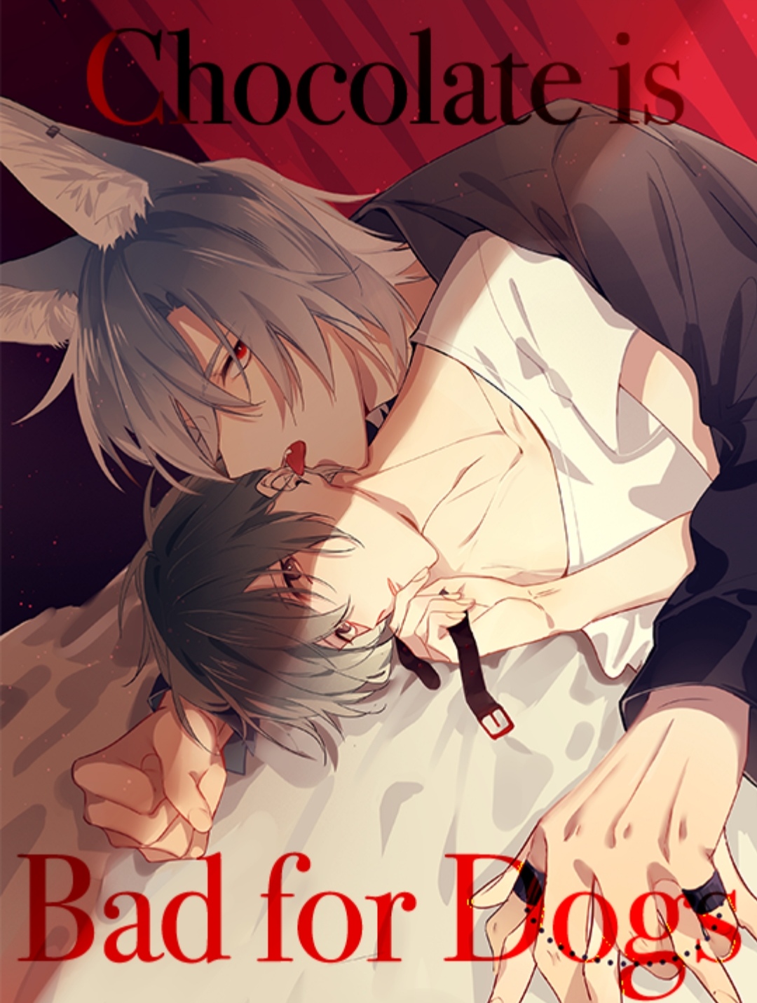 Sôcôla có hại cho chó