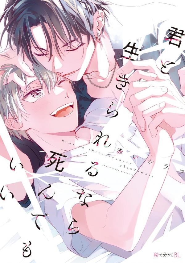 Trọn Đời Bên Anh